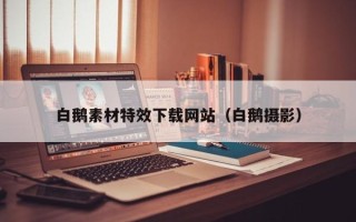 惠东白鹅素材特效下载网站（白鹅摄影）